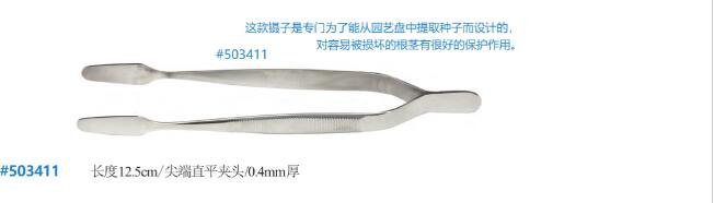 不锈钢园艺镊子 503411A.jpg
