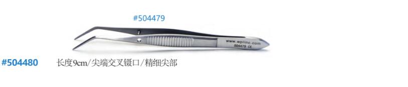 不锈钢微型镊子504479 A.jpg